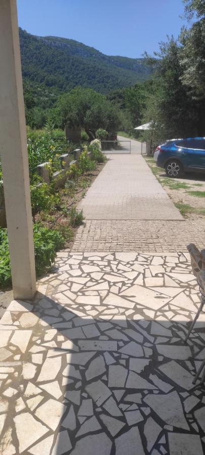 Apartmani Maslina Zuljana Ngoại thất bức ảnh